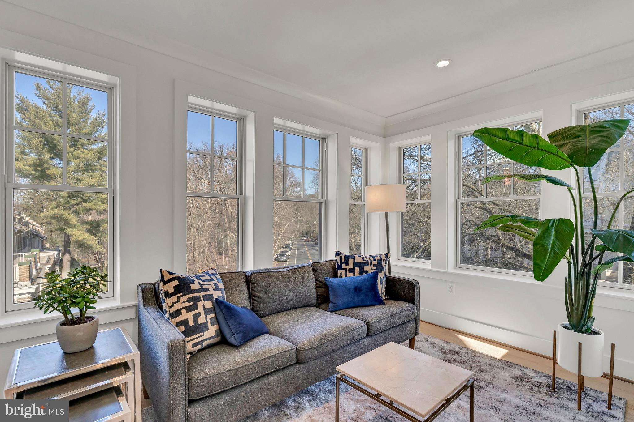 2001 Klingle Road Northwest Washington, DC 20010 - Photo 33 of 50 a living room with furniture and a potted plant