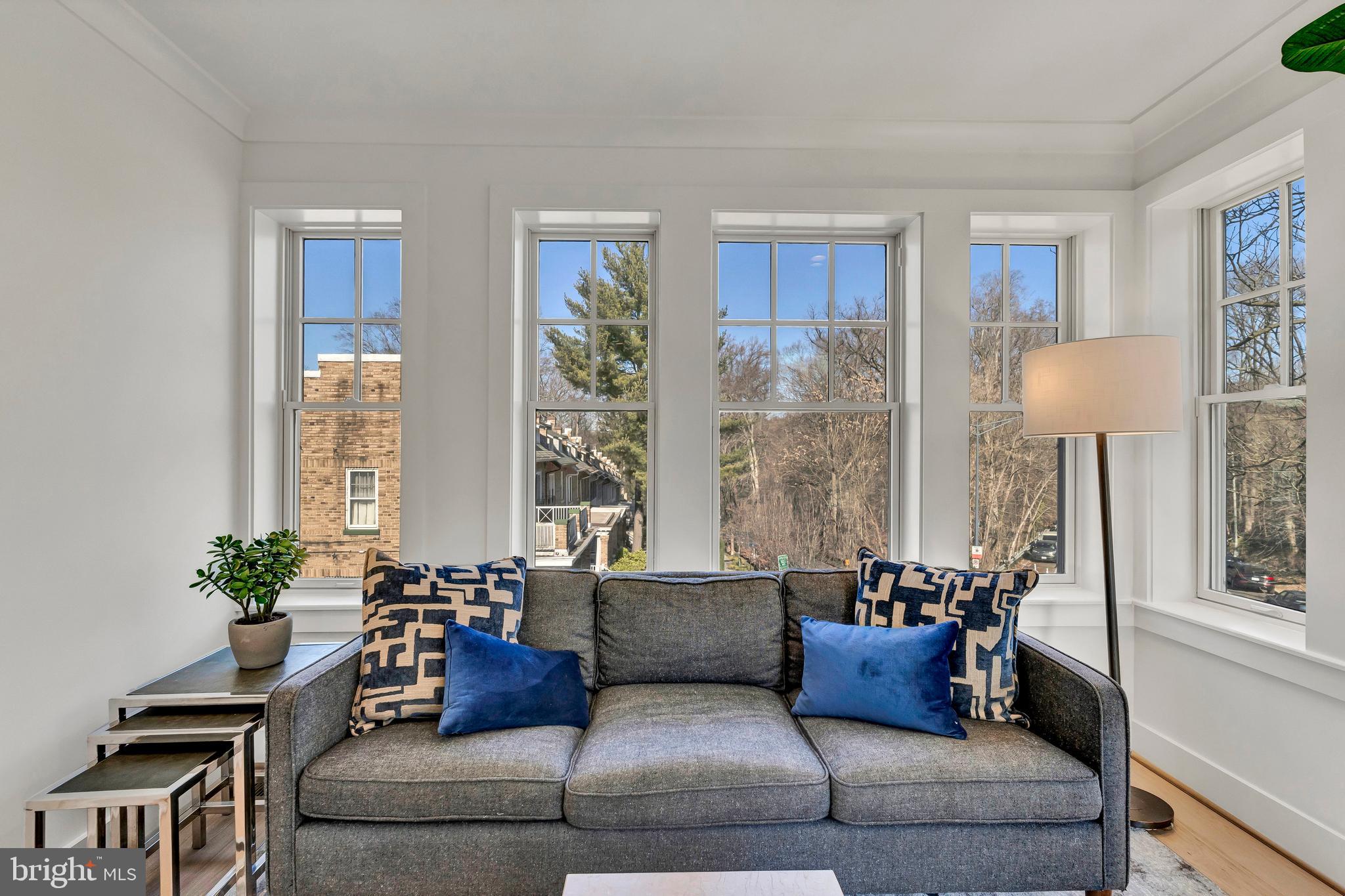 2001 Klingle Road Northwest Washington, DC 20010 - Photo 34 of 50 a living room with furniture and a potted plant
