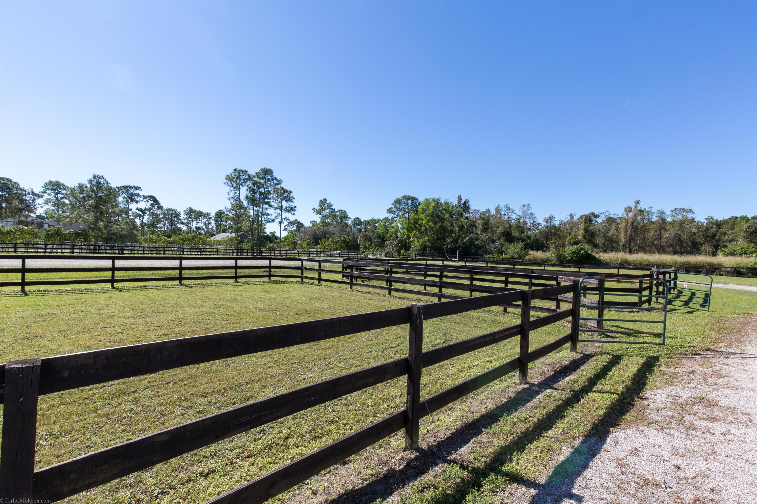 12981 Casey Road Loxahatchee, FL 33470 - Photo 69 of 86 Paddocks