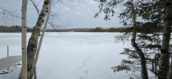 $589,900 | 3838 Bear Lake Lane, Laona, WI 54541