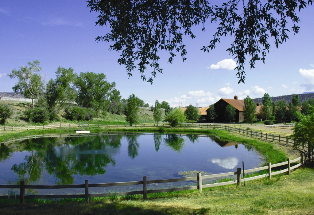 6154 South County 23 Road Ridgway, CO 81432 - Photo 2 of 17 Morning Pond