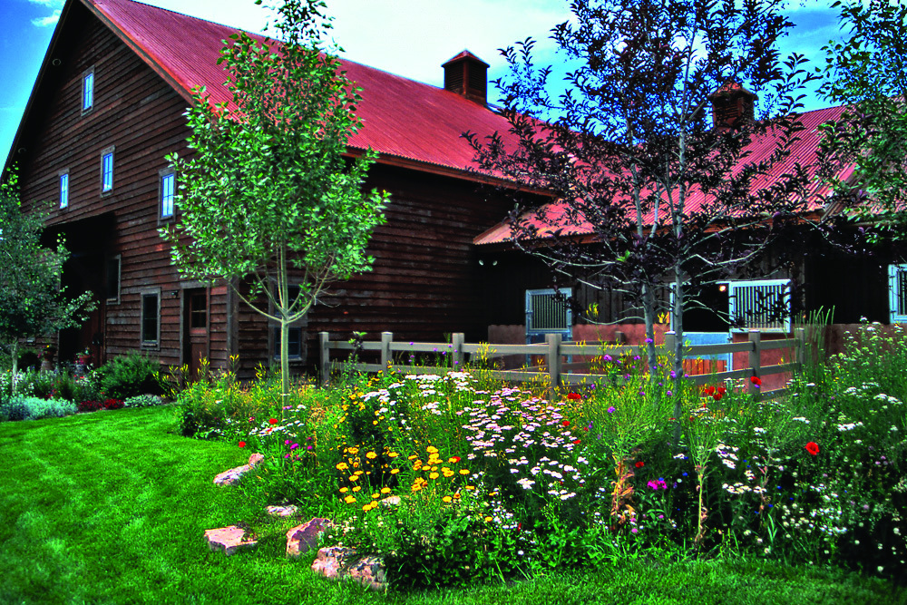 6154 South County 23 Road Ridgway, CO 81432 - Photo 3 of 17 Imported Antique Barn w native gardens