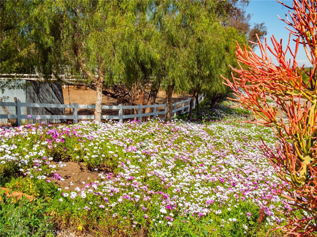 39817 Calle Cabernet Temecula, CA 92591 - Photo 16 of 75 a backyard of a house with lots of green space and trees