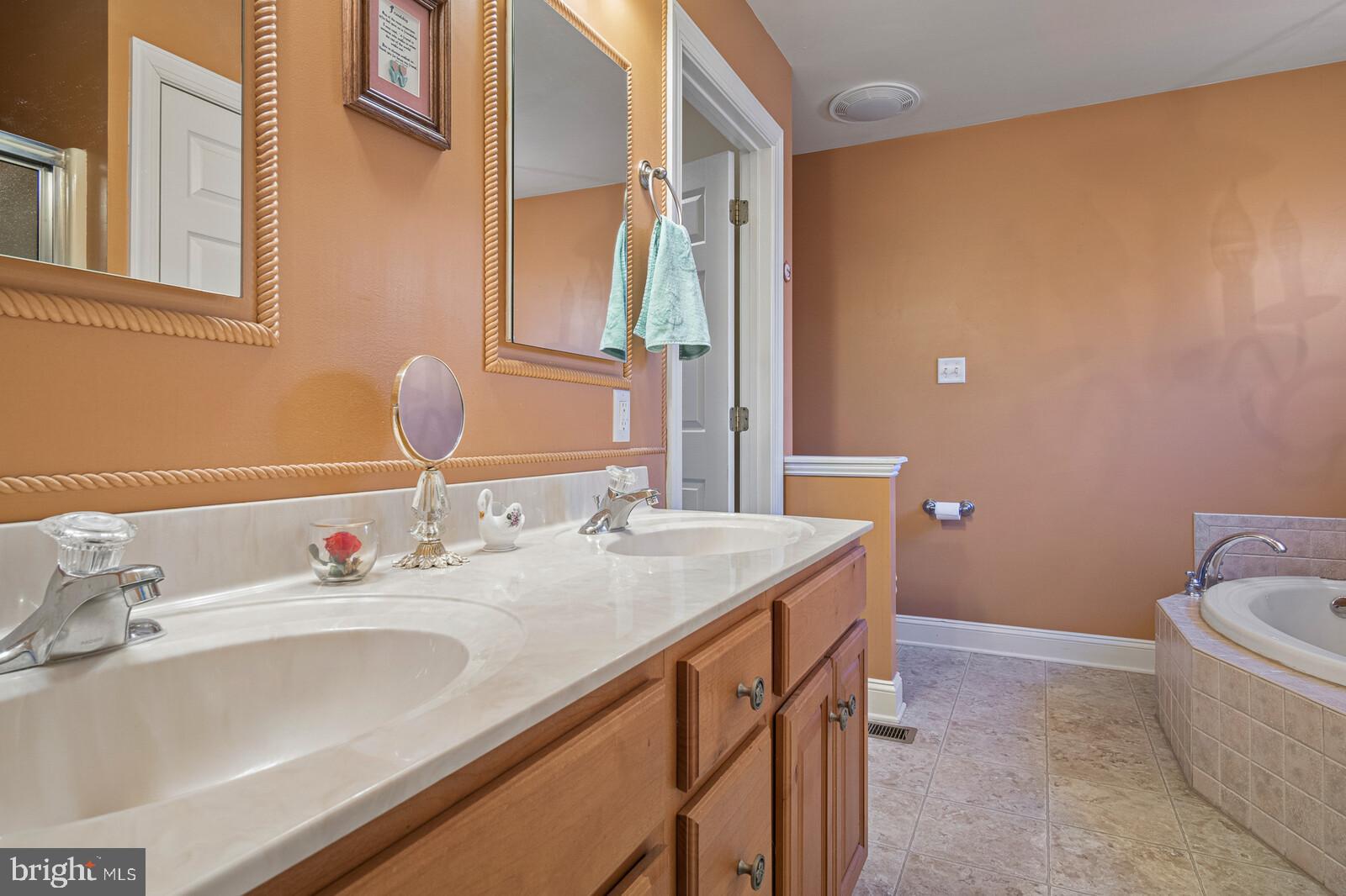 4340 Telegraph Road Elkton, MD 21921 - Photo 24 of 27 Master Bathroom Double bowl sink and soaking tub