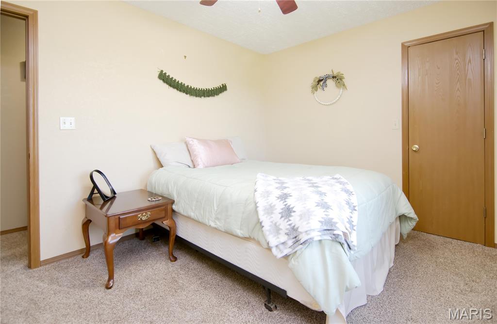 29828 Anthony Road Falcon, MO 65470 - Photo 20 of 43