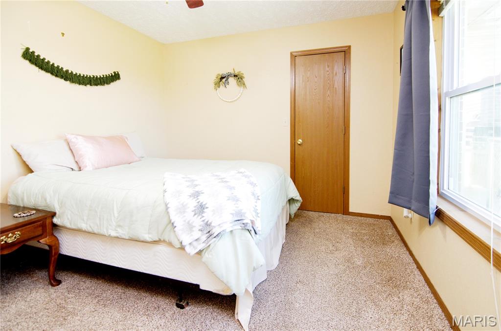 29828 Anthony Road Falcon, MO 65470 - Photo 21 of 43