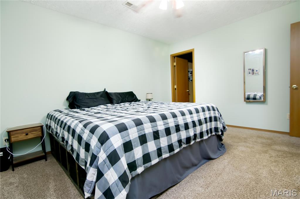 29828 Anthony Road Falcon, MO 65470 - Photo 22 of 43