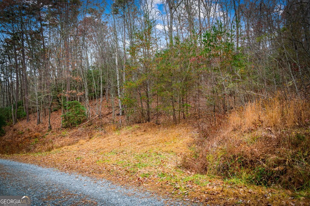 5.97-ac Bullen Gap Road Blue Ridge, GA 30513 - Photo 3 of 11