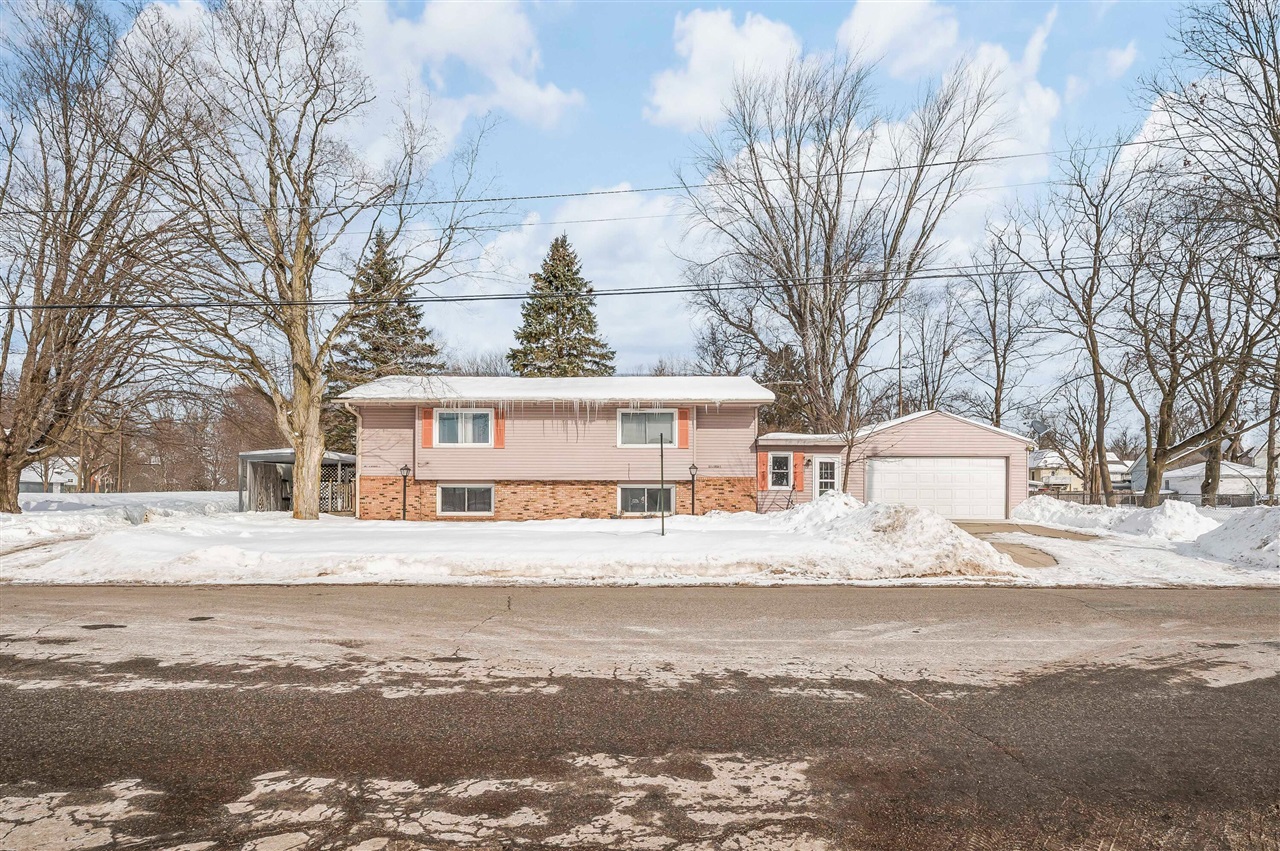 125 South Cayuga Street Buchanan, MI 49107 - Photo 2 of 12