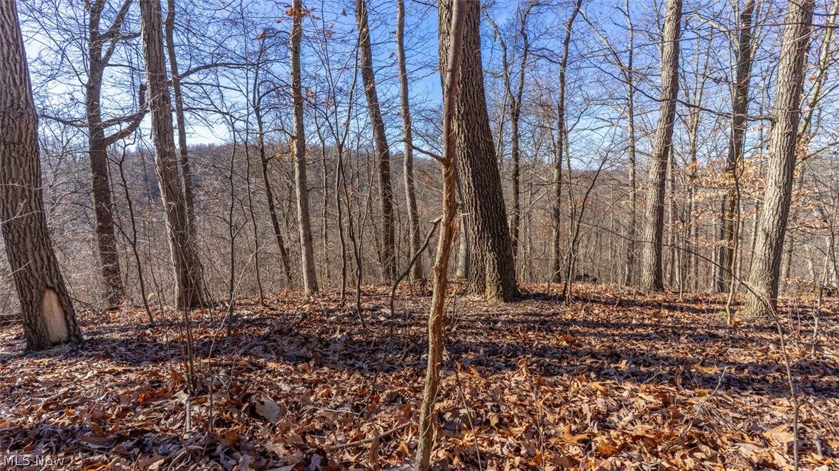 0 Clem Garvin Road Caldwell, OH 43724 - Photo 22 of 50 View of undeveloped land