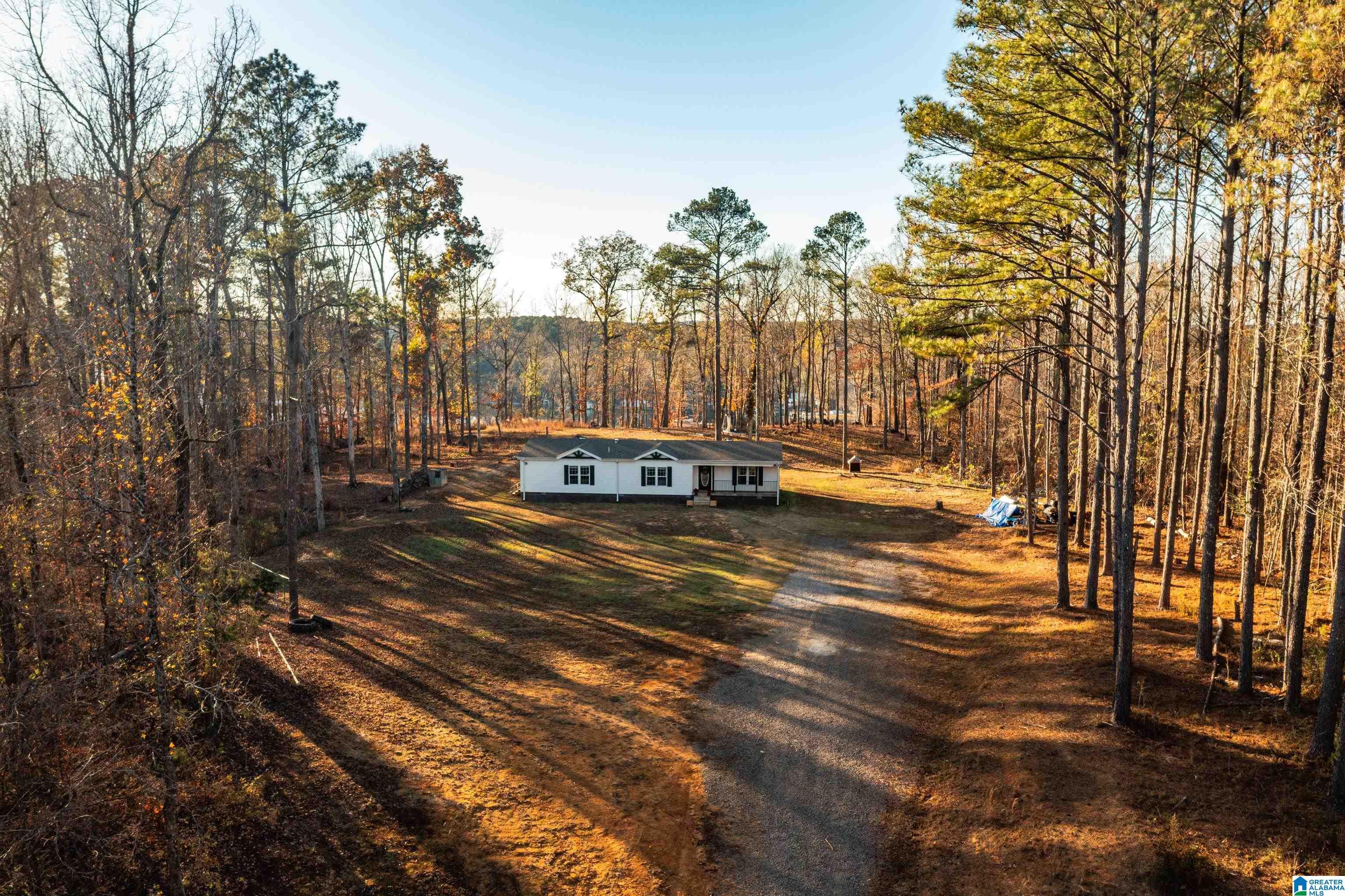 191 Warrior River Highlands Road Adger, AL 35006 - Photo 58 of 81