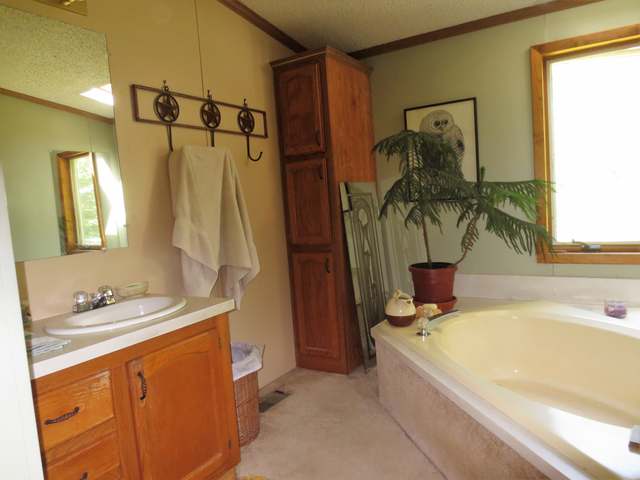 7027 West Rapids Road Lake Tomahawk, WI 54539 - Photo 11 of 23 Gallery Image 11