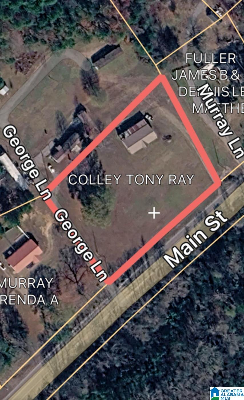 16845 Highway 11 Springville, AL 35146 - Photo 2 of 5