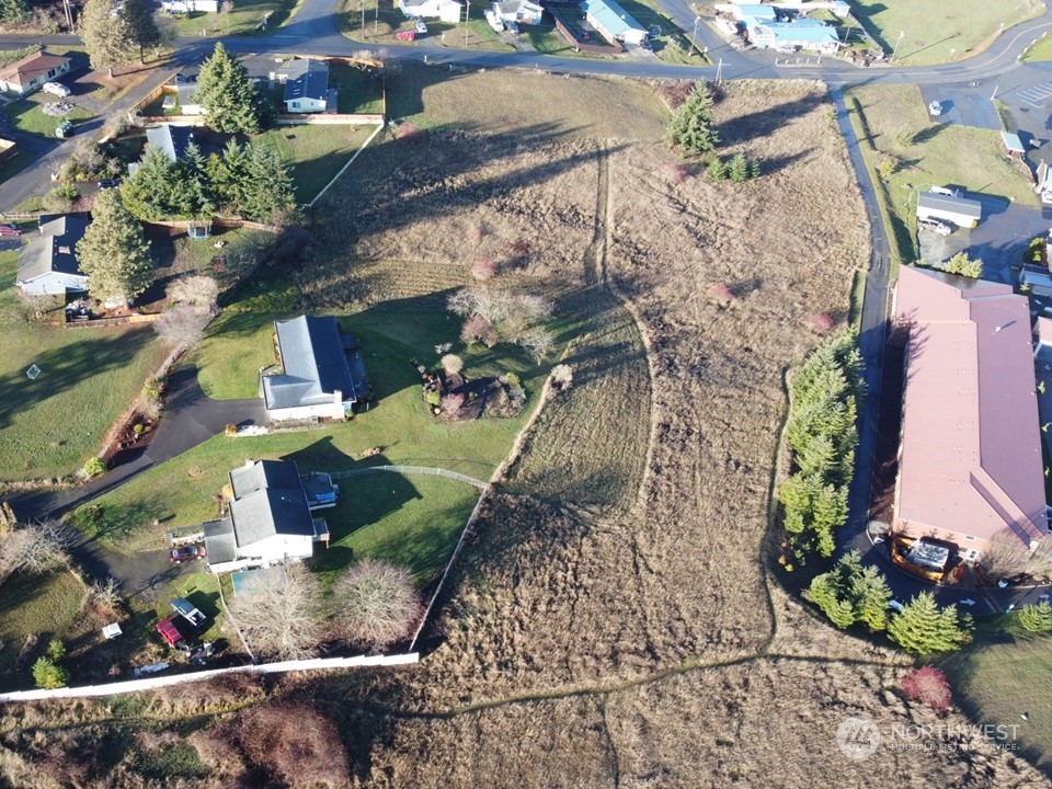 9999 Still Sequim, WA 98382 - Photo 5 of 10 a view of a yard with plants