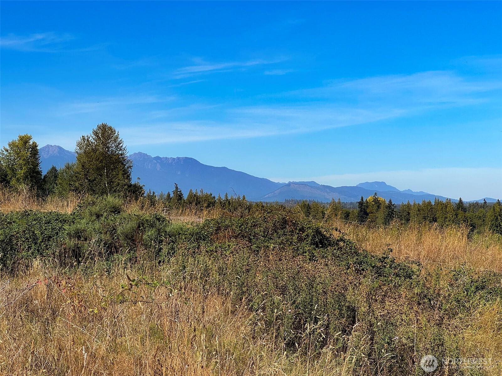 463 Miller Road Sequim, WA 98382 - Photo 16 of 39
