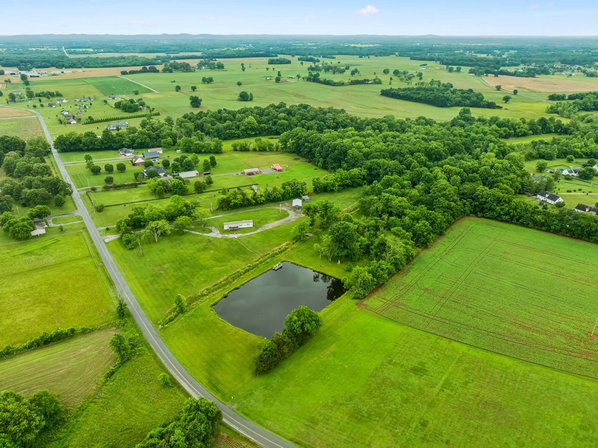 280 Kingdom Road Unionville, TN 37180 - Photo 49 of 65 a view of a lush green forest