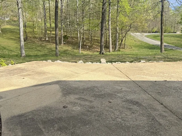 a view of a backyard