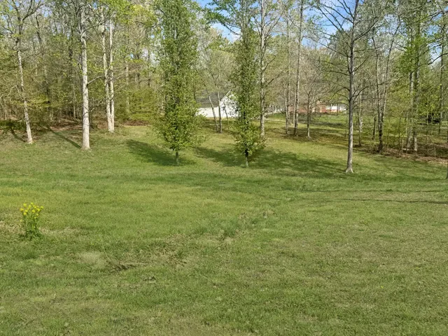 a view of outdoor space and yard