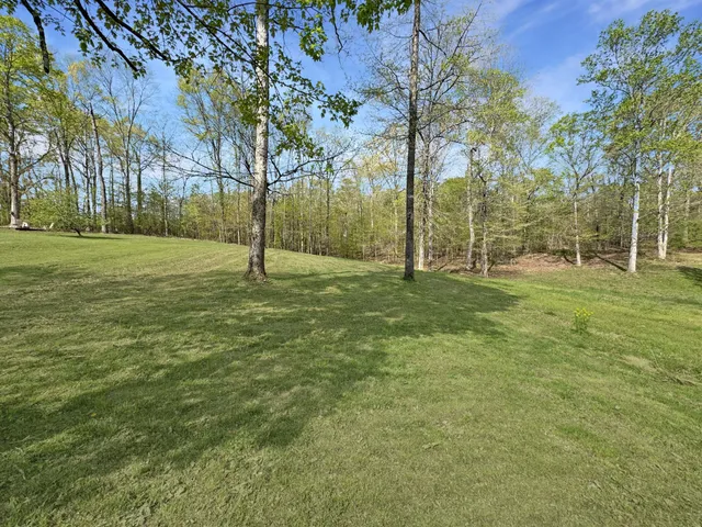 a big yard with trees