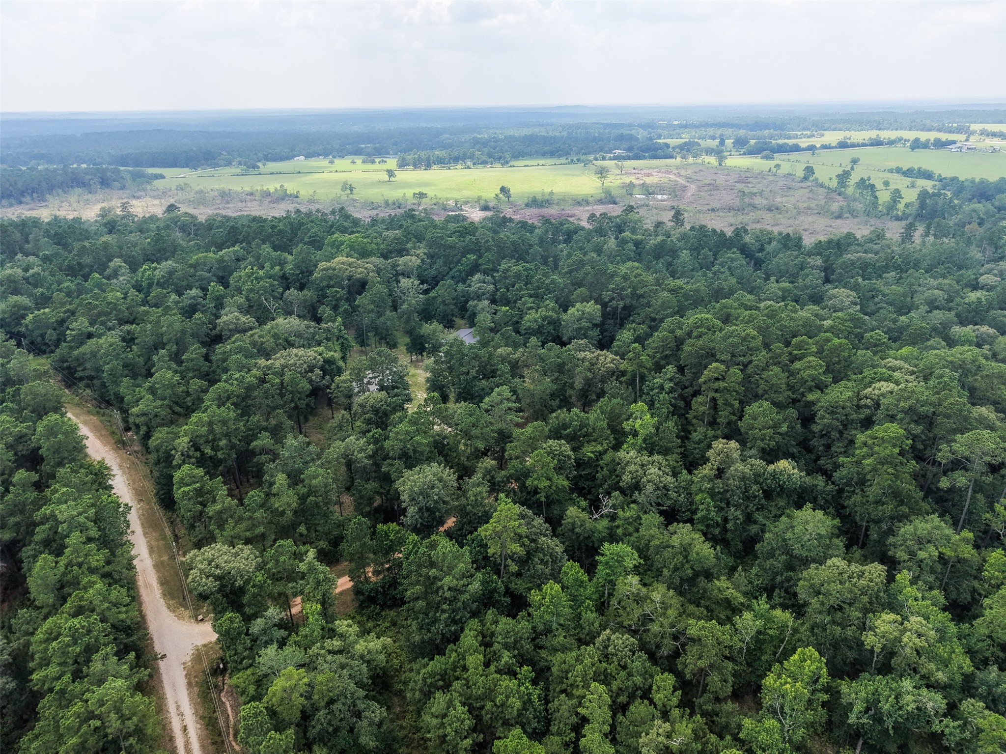 577 Winding River Road South Oakhurst, TX 77359 - Photo 43 of 44