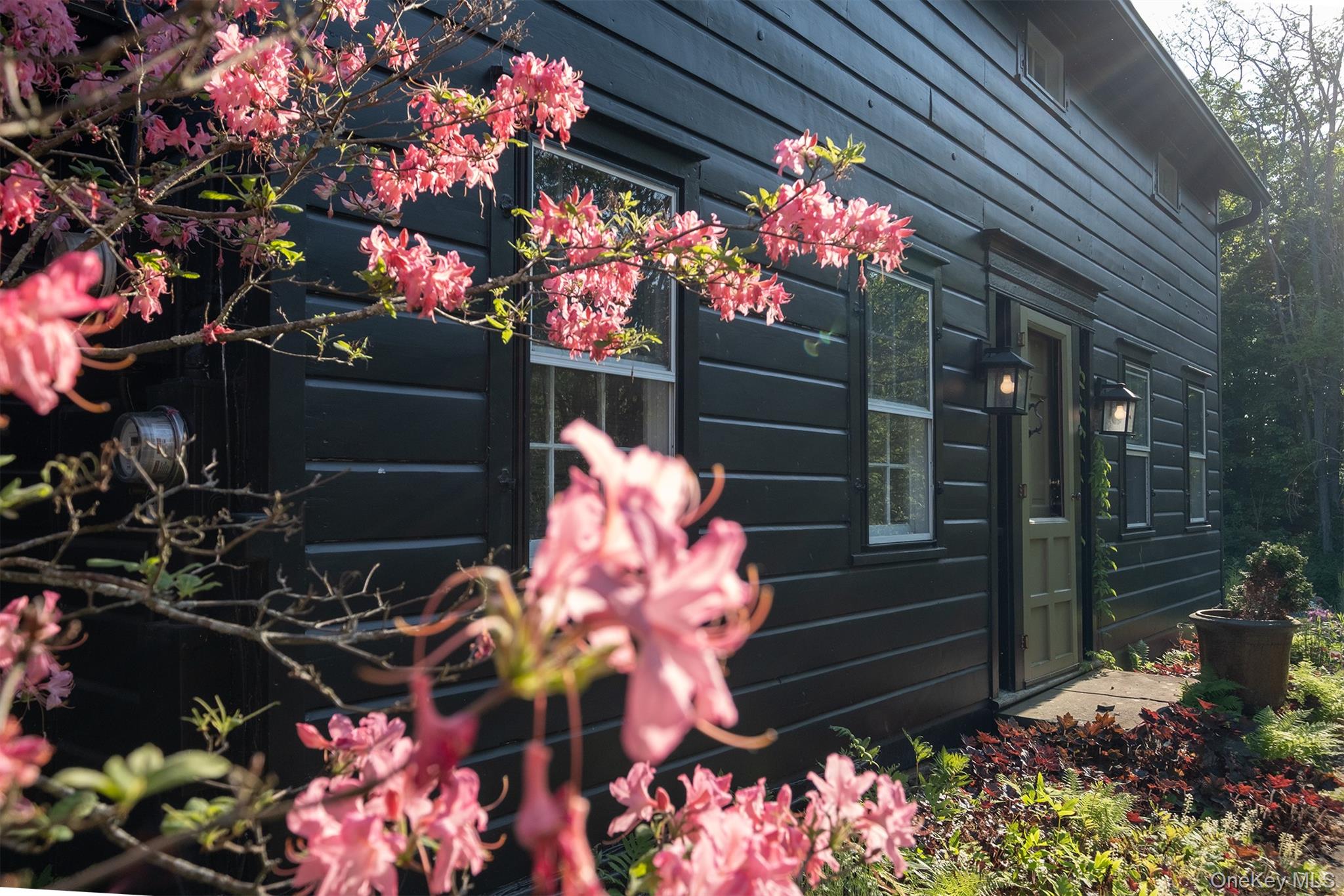 77 Upper Hook Road Rhinebeck, NY 12572 - Photo 5 of 48 a flower plants