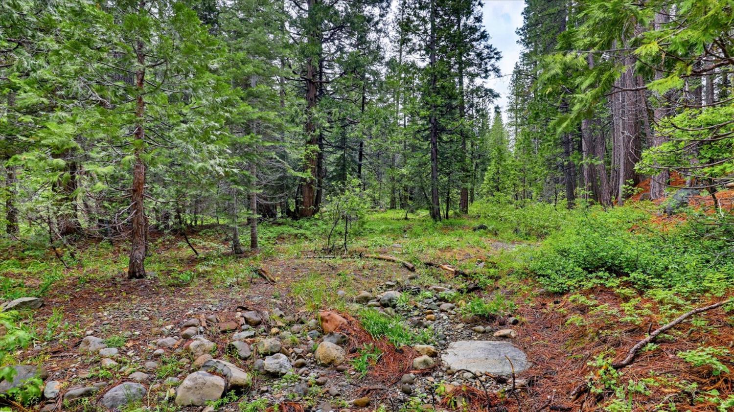 0 Texas Hill Road Emigrant Gap, CA 95715 - Photo 17 of 24