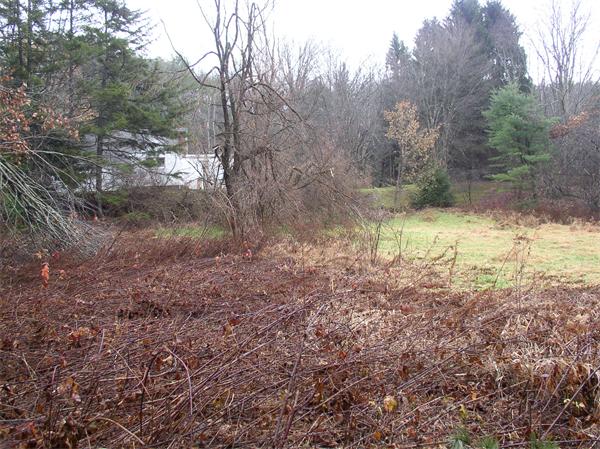 92 Town Farm Road Barre, MA 01005 - Photo 10 of 17