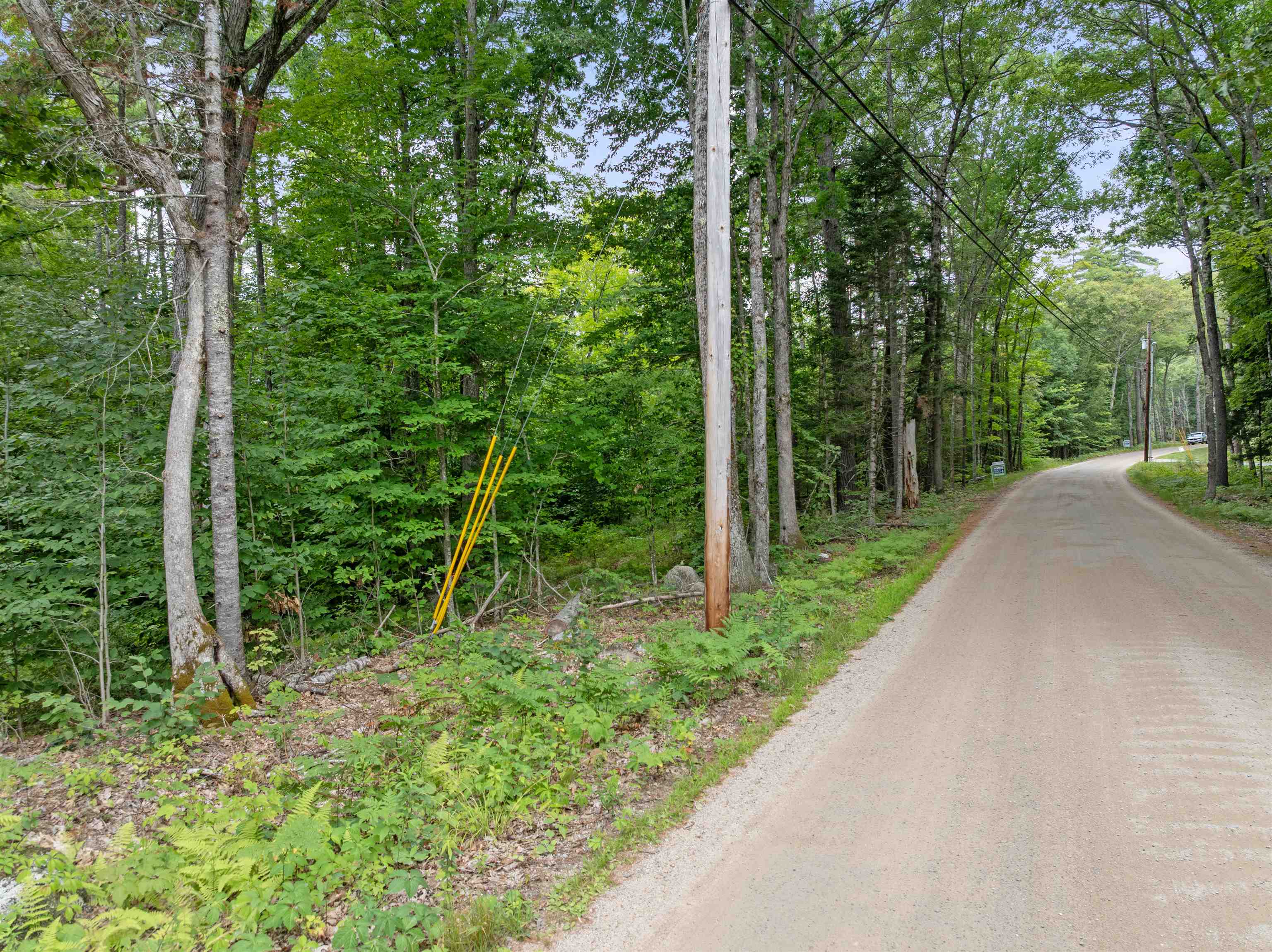 0 Gilman Point Road Moultonborough, NH 03254 - Photo 19 of 25 Gallery Image 19