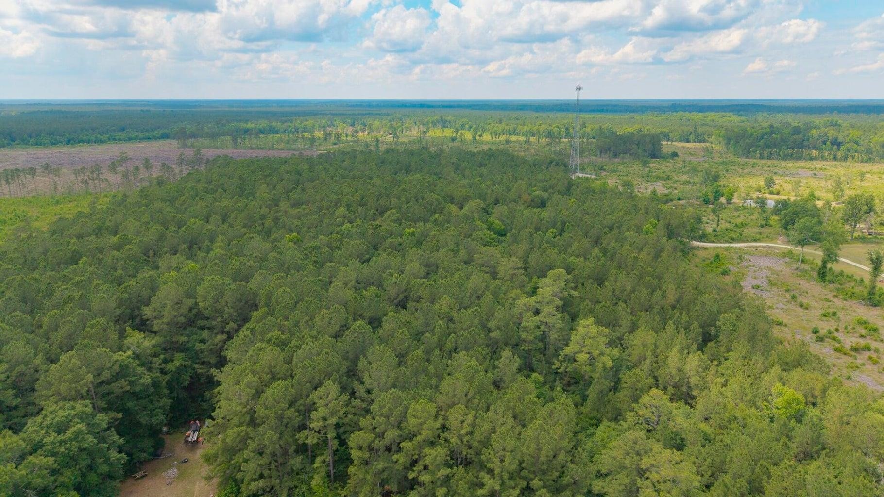 6222 Saints Delight Road Georgetown, SC 29440 - Photo 20 of 27