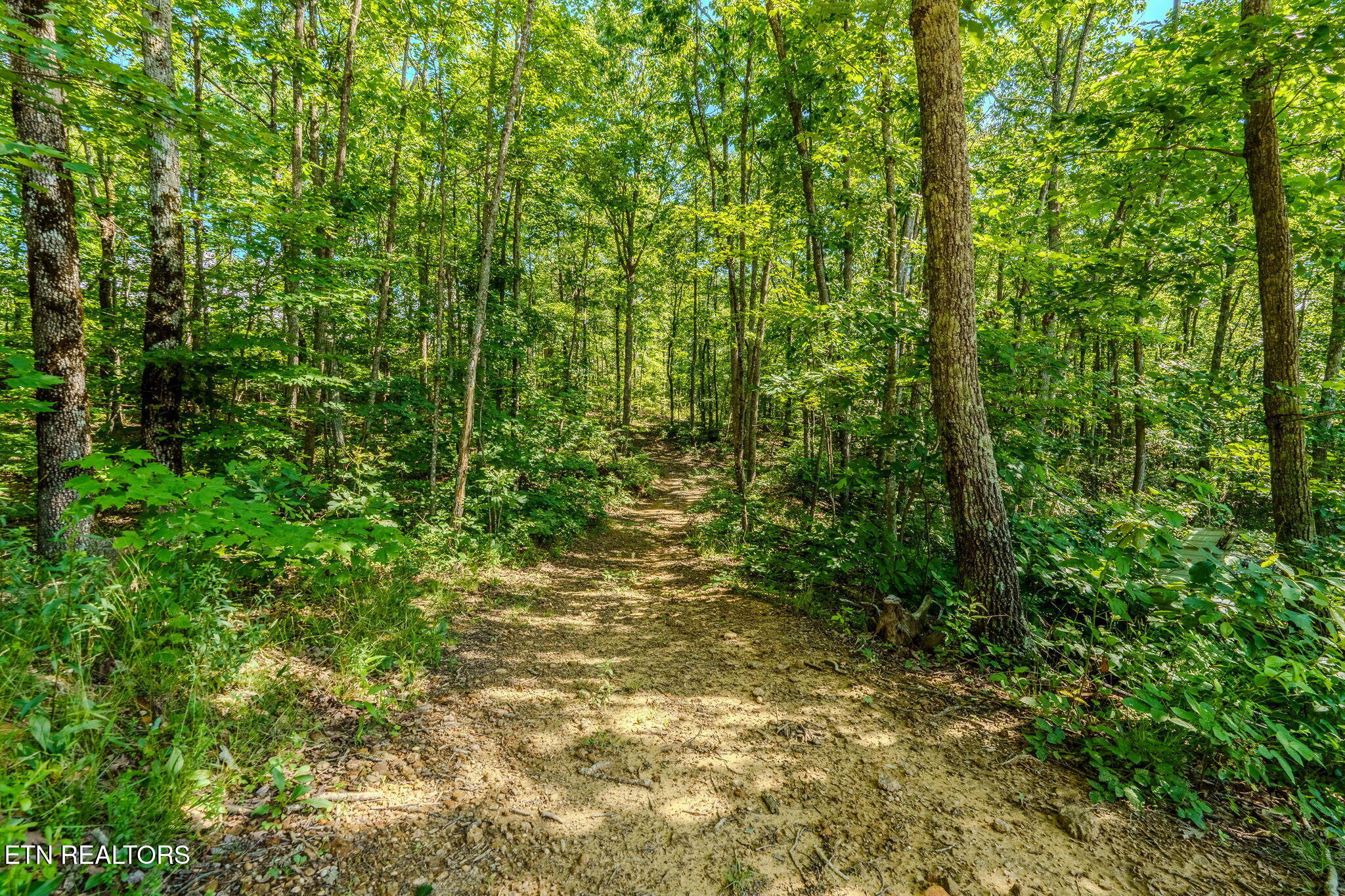 1360 Illuminary Firetower Road, Unit 9 Spring City, TN 37381 - Photo 21 of 30 3-web-or-mls-_DSC2168-HDR