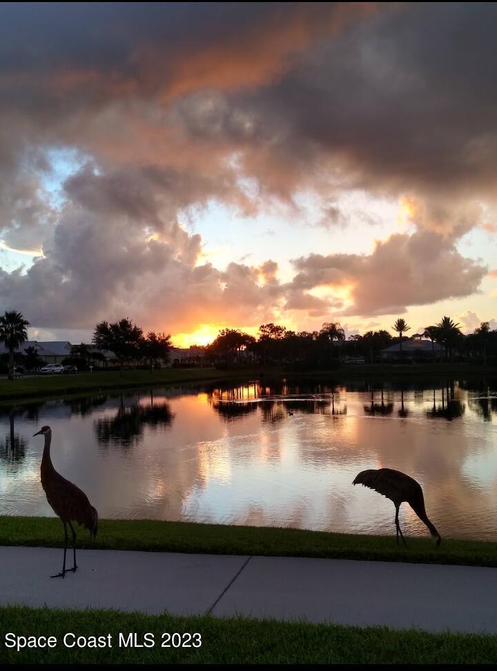 3850 Alamanda Key Drive Melbourne, FL 32901 - Photo 32 of 44 a view of a lake from a yard