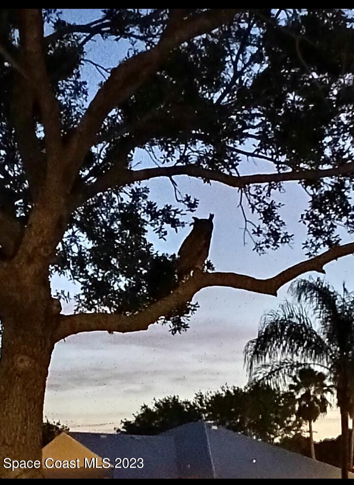 3850 Alamanda Key Drive Melbourne, FL 32901 - Photo 34 of 44 a view of outdoor space and yard
