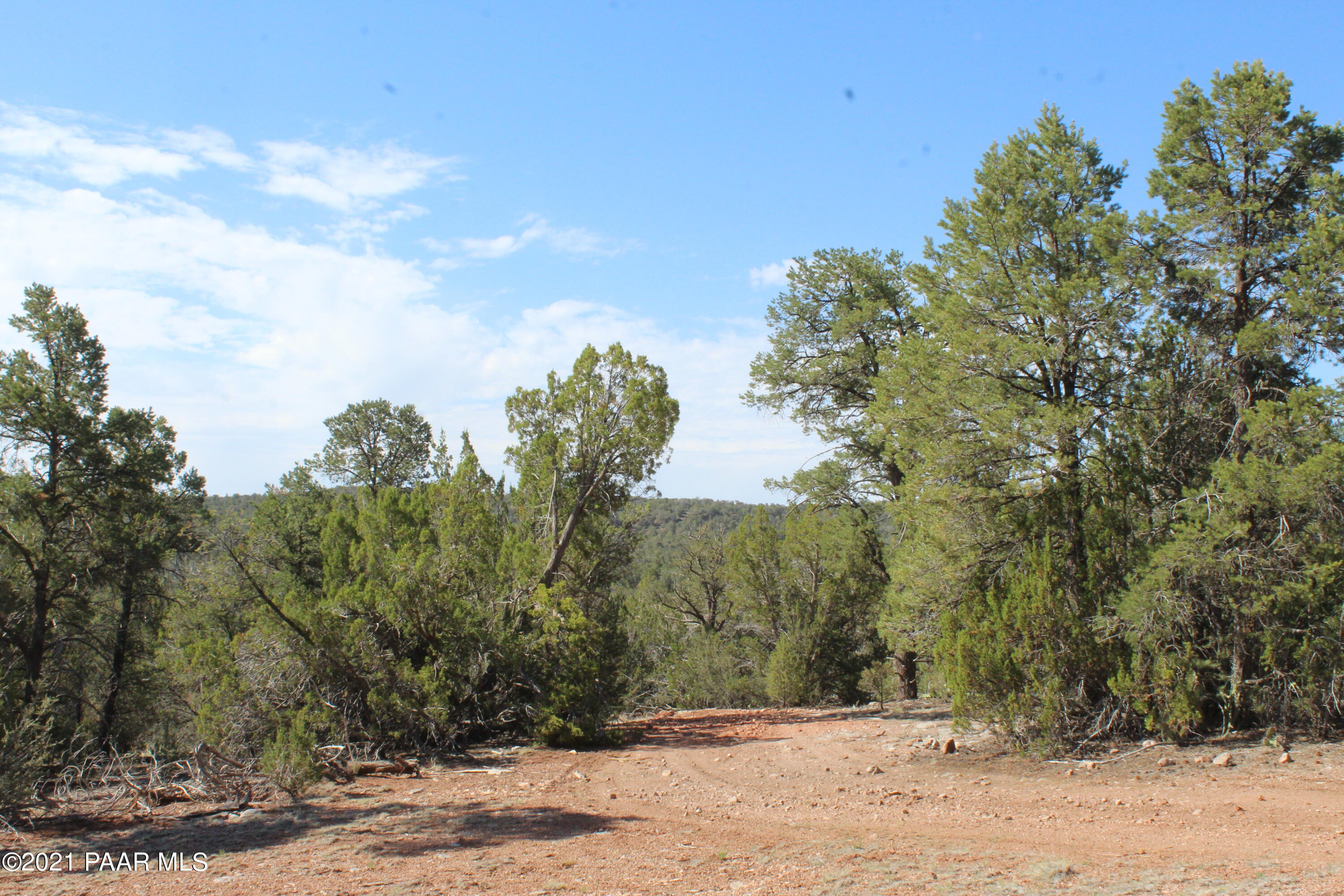 30570 Bucks Road Seligman, AZ 86337 - Photo 1 of 16 IMG_8691