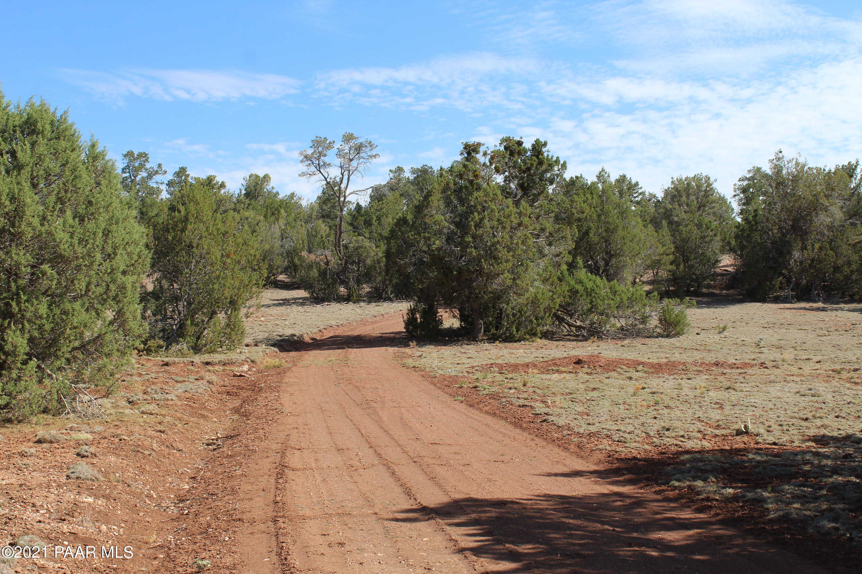 30570 Bucks Road Seligman, AZ 86337 - Photo 7 of 16 IMG_8685