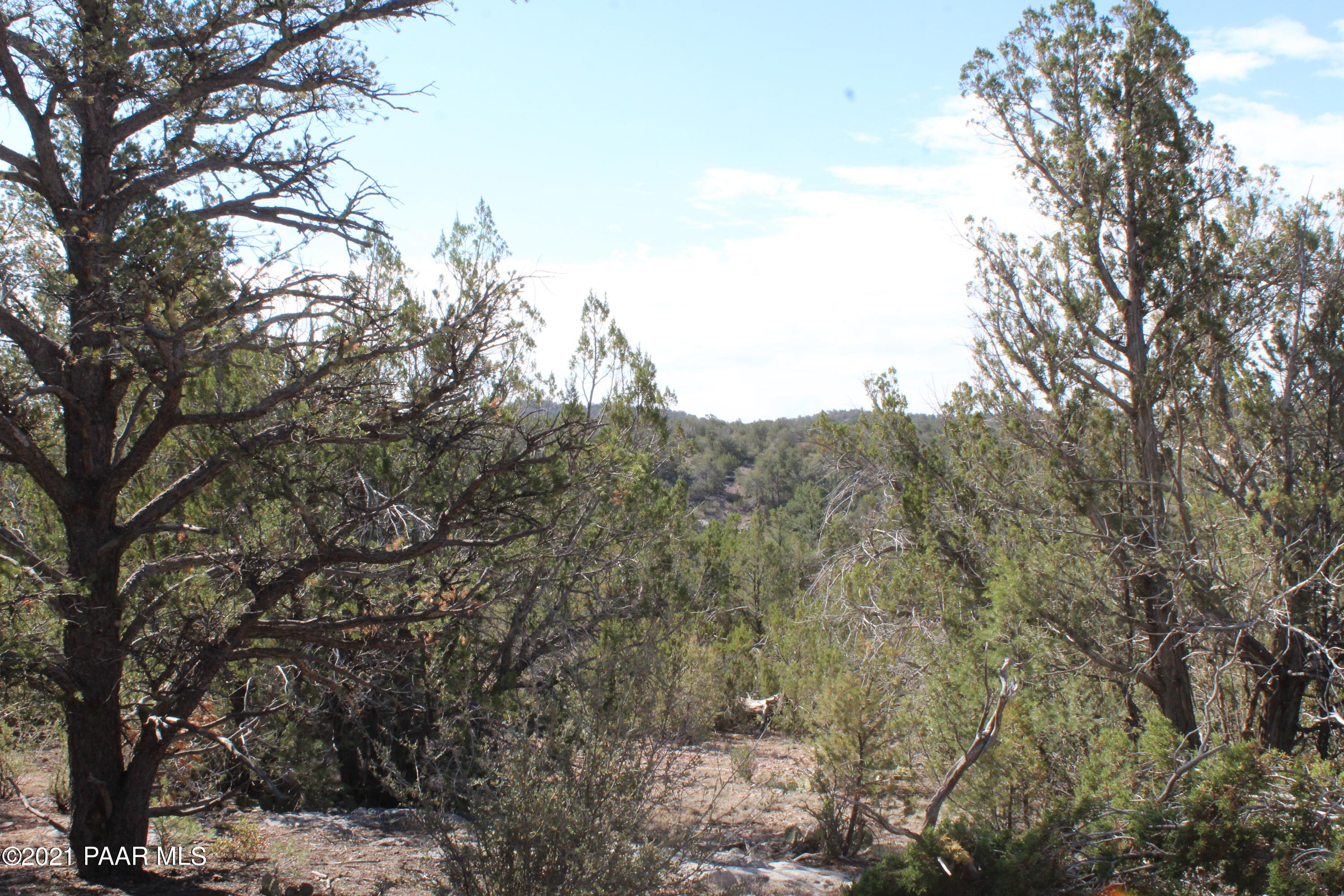 30570 Bucks Road Seligman, AZ 86337 - Photo 8 of 16 IMG_8689