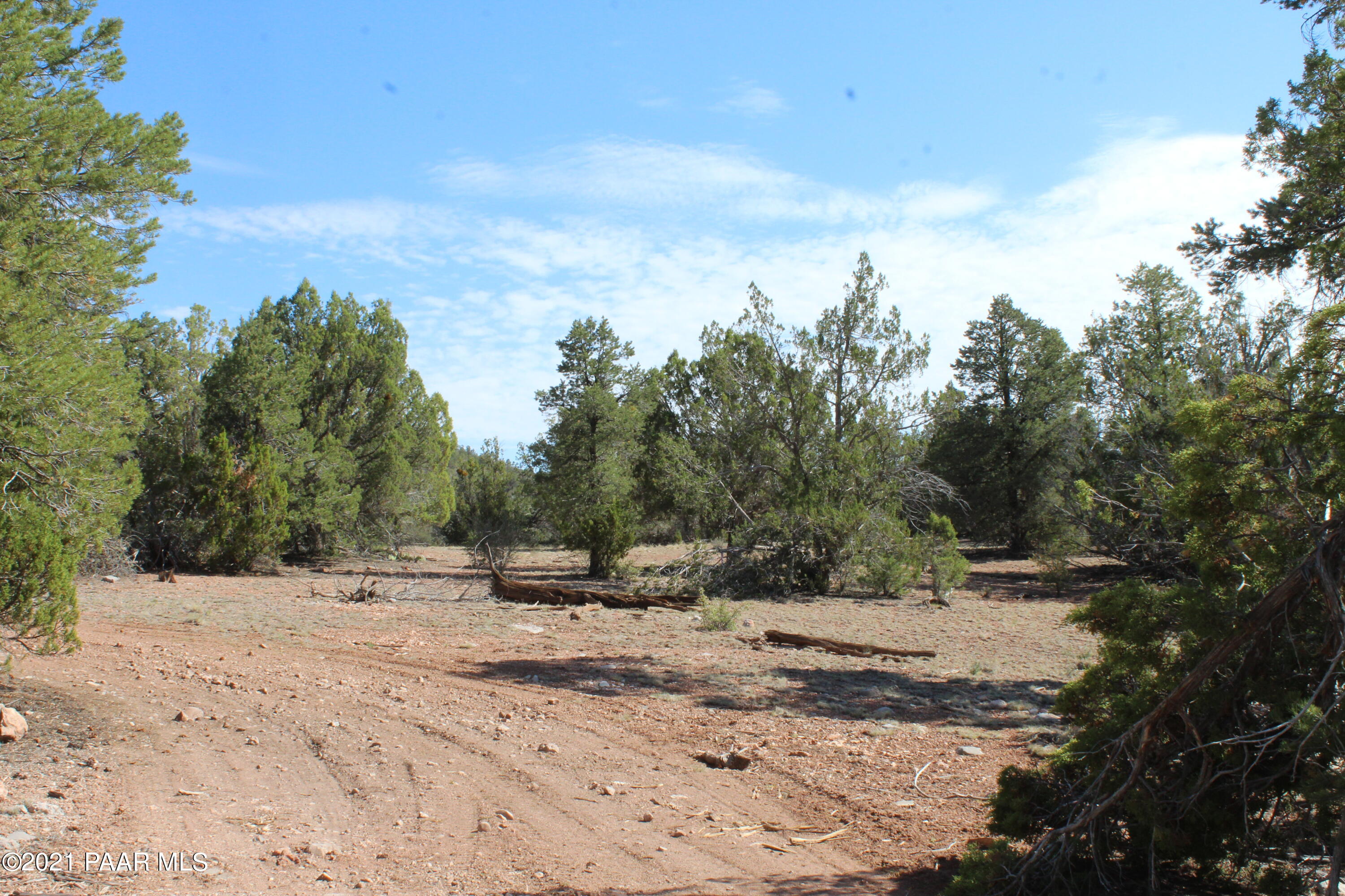30570 Bucks Road Seligman, AZ 86337 - Photo 9 of 16 IMG_8690