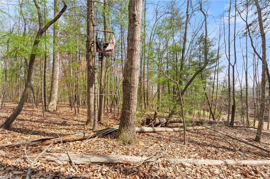 1163 Mills Road Mount Airy, NC 27030 - Photo 25 of 34