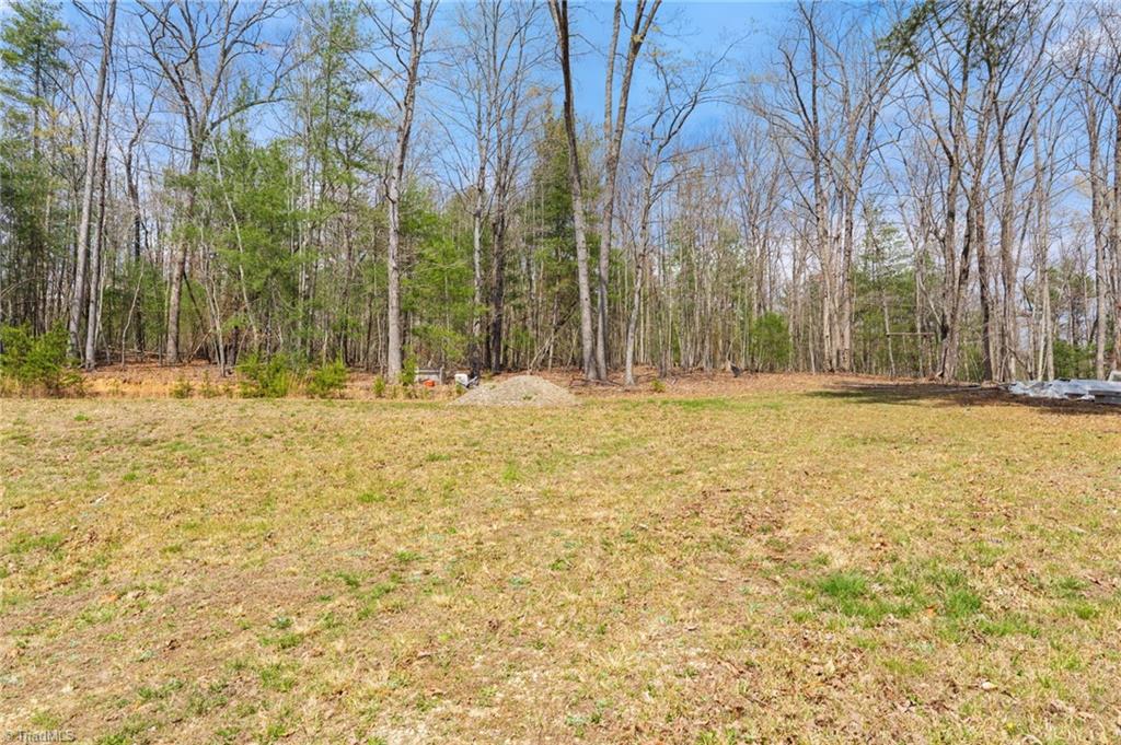 1163 Mills Road Mount Airy, NC 27030 - Photo 26 of 34