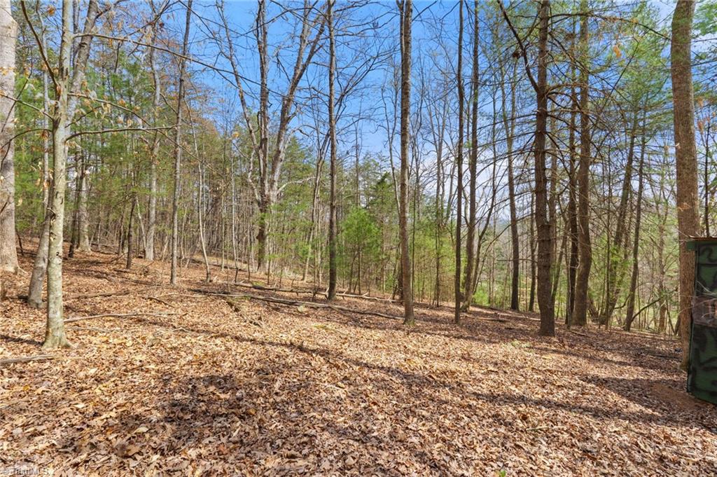 1163 Mills Road Mount Airy, NC 27030 - Photo 28 of 34