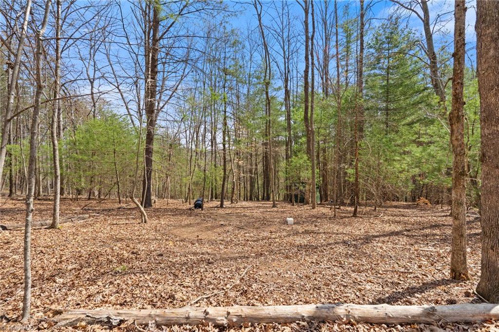 1163 Mills Road Mount Airy, NC 27030 - Photo 29 of 34