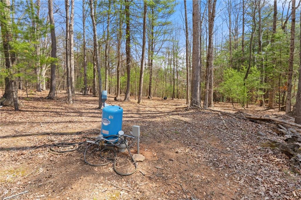 1163 Mills Road Mount Airy, NC 27030 - Photo 30 of 34