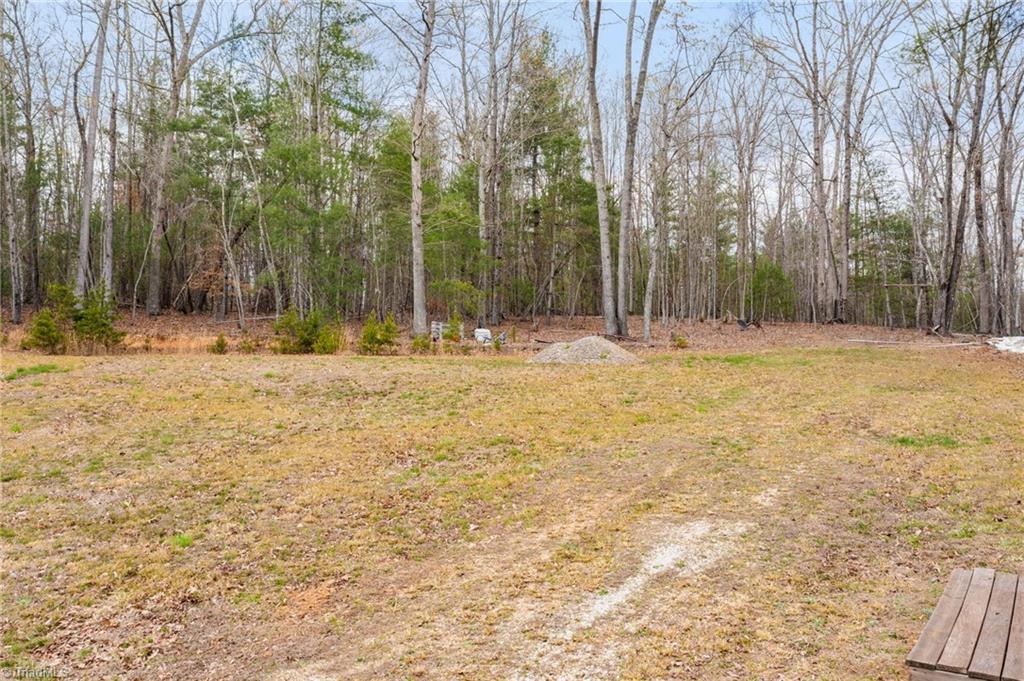 1163 Mills Road Mount Airy, NC 27030 - Photo 3 of 34