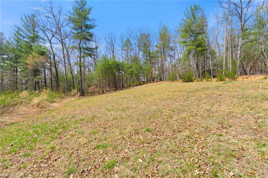 1163 Mills Road Mount Airy, NC 27030 - Photo 32 of 34