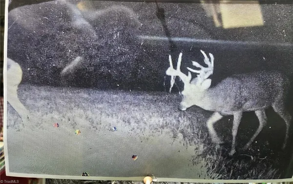 $144,900 | 1163 Mills Road, Mount Airy, NC 27030