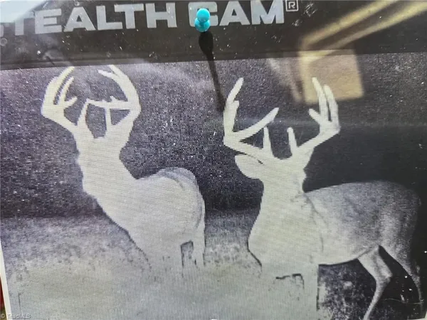 $144,900 | 1163 Mills Road, Mount Airy, NC 27030