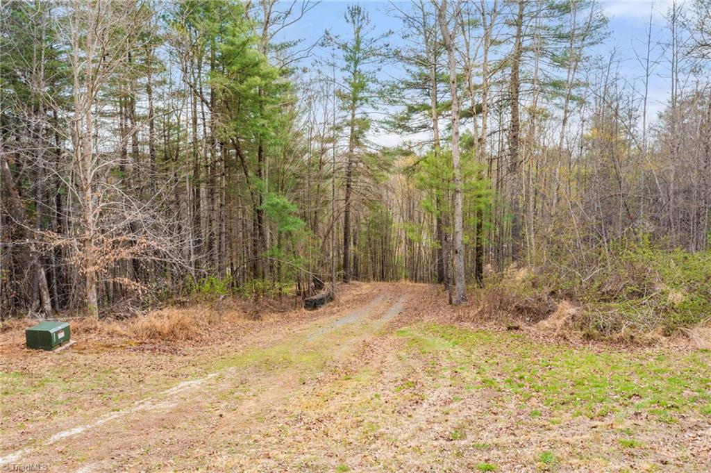 1163 Mills Road Mount Airy, NC 27030 - Photo 5 of 34