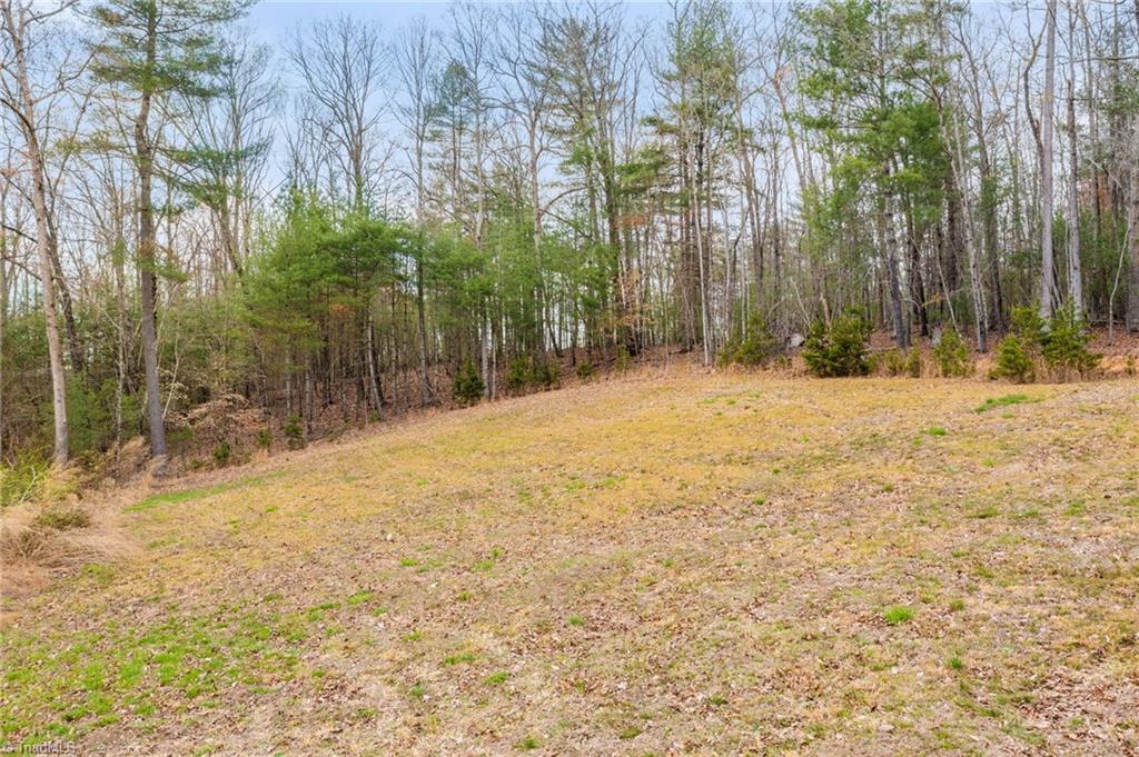 1163 Mills Road Mount Airy, NC 27030 - Photo 5 of 37