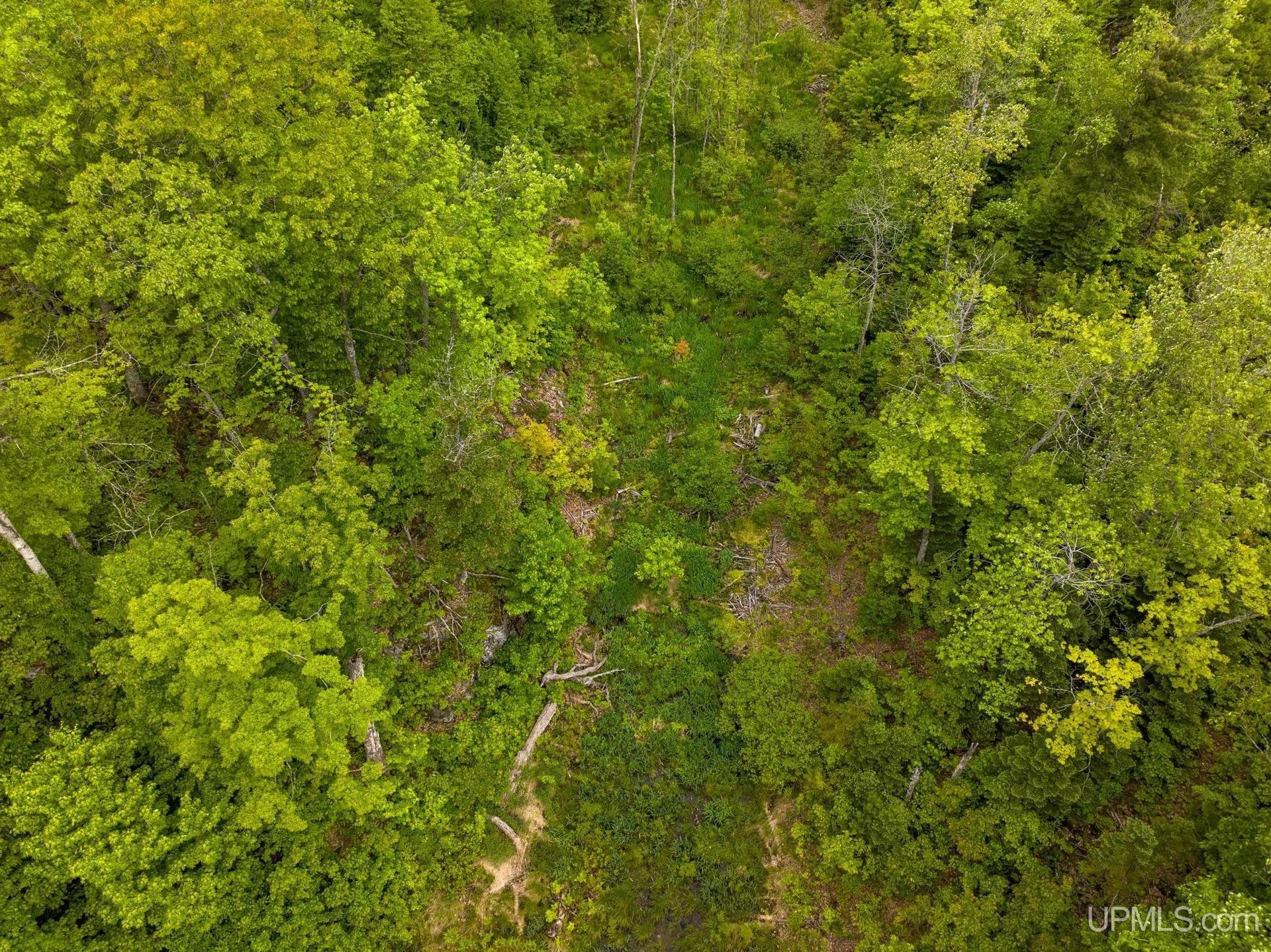 Tbd Tbd Co Road Negaunee, MI 49866 - Photo 21 of 47