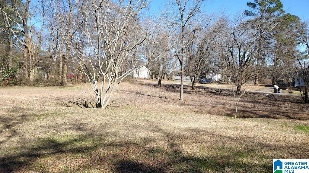 304 Rose Hill Road Birmingham, AL 35214 - Photo 5 of 22