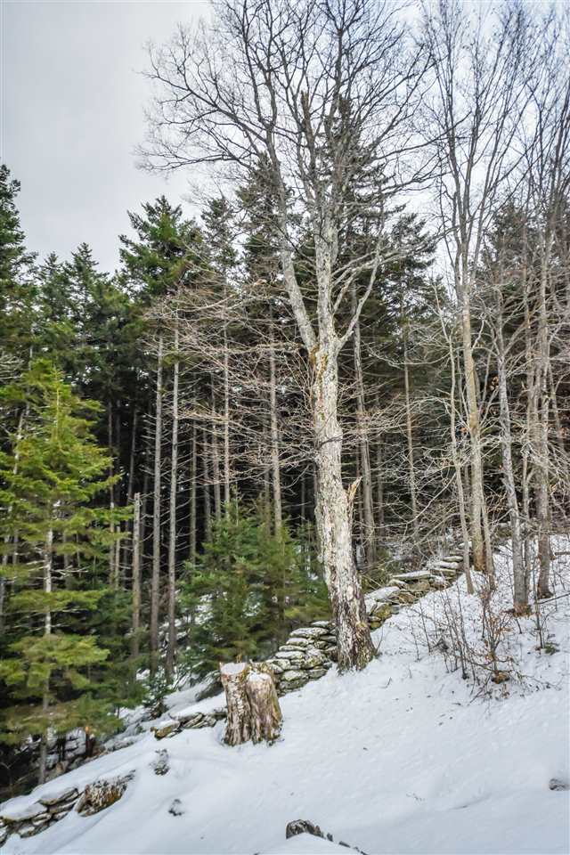 64 Gallup Pitch Road Wilmington, VT 05363 - Photo 26 of 27 Gallery Image 26